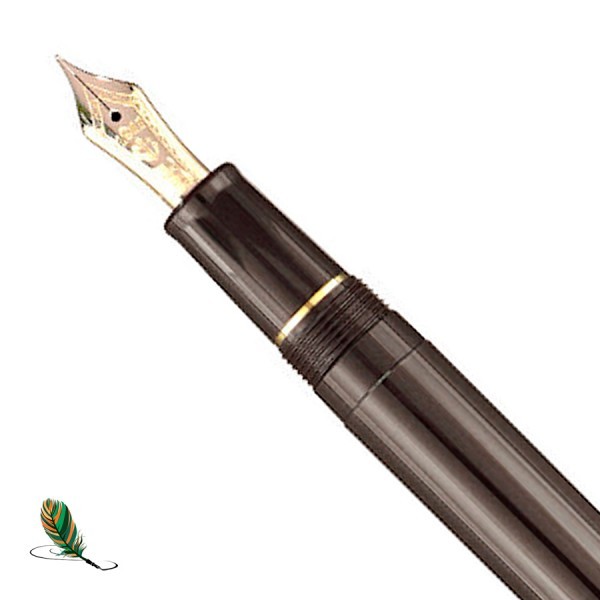 Brown barrel and gold nib of the Pro Gear Slim Mini Puff Brown
