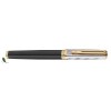 Reflections of Paris a luxurious and elegant fountain pen