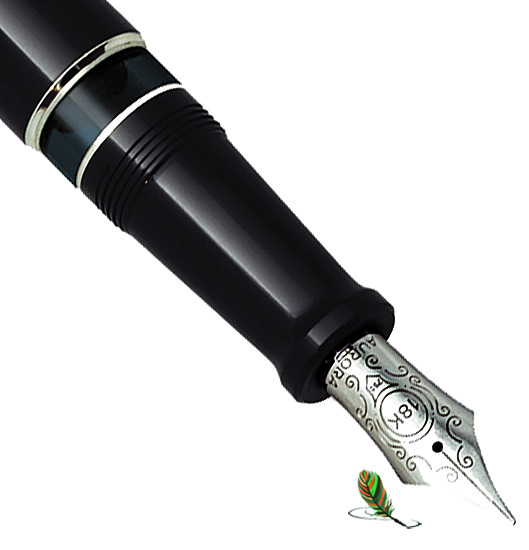 Aurora Optima Riflessi Silver-black nib